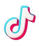 tiktok icon